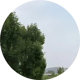 墨染清欢12