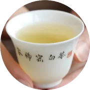 白毫银针，白茶中你最不能忽略的一种美！