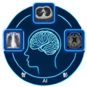 AAL脑图谱详解及其命名与缩写对照表