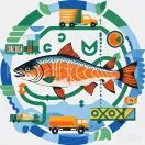 法罗价格上涨，新日期到货，开卖。北京上海广州4.25日三文鱼批发行情报价