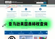中文版亚马逊商标查询工具推荐