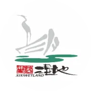 快“马”住，2026杭州西溪新春游玩攻略！千灯启福 梅好迎春