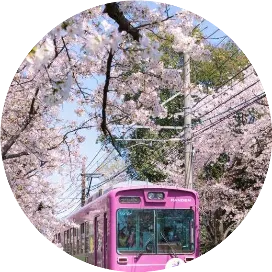 行在路上心有丘壑