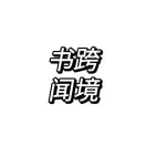 2026跨境蓝海最后的“印钞机”，Ozon/WB双核爆单SOP