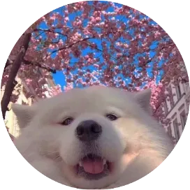 舟舟川水