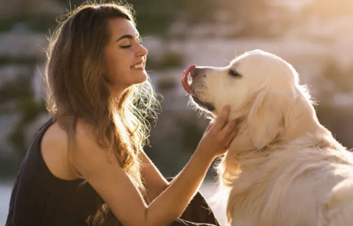 宠物用品出海新动向——"萌宠经济"太火爆：这届年轻人，都想猫狗双全！