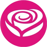 丝柏纯露的功效作用，丝柏纯露的使用方法