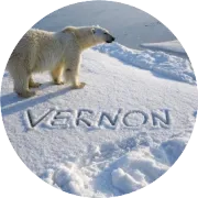 你辛苦开始赚钱的独立站，可能是同行眼里的“提款机”：3步锁死独立站核心机密