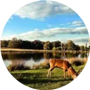 这是对美国前总统的一次羞辱，但......