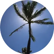 干货收藏 | B2B内容营销如何叫好又叫座？