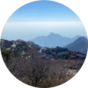 知识的间接定价方式
