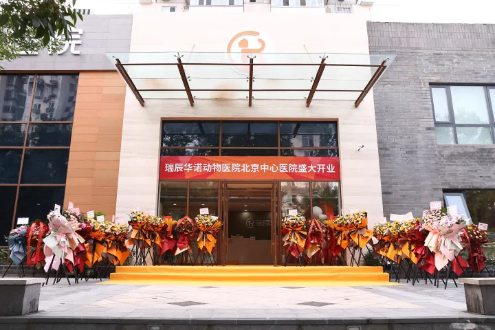 对话瑞辰宠物医院集团：两年跻身行业TOP3，一场专业主义的胜利