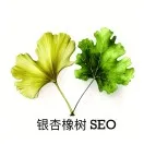 SEO的“黑白对决”：揭秘黑帽、白帽、灰帽的底层逻辑与终极博弈