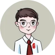 我收集了一整个春天给你