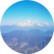 一单只赚几毛钱？全托管绞肉机逼得白牌工厂连夜改命