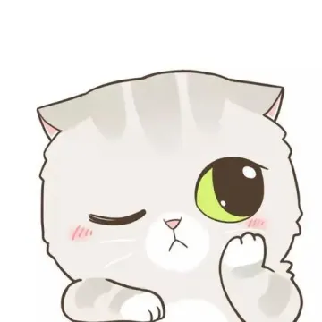 作者头像