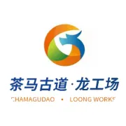 新加坡企业河北行——走进张家口投资合作交流会举行