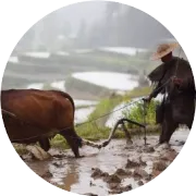 Pracha到来，“觉醒的领导力”工作坊