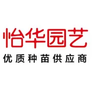 【圆满收官】278个新优品种引爆安宁！这场花卉界的"未来盛宴"让人直呼过瘾！