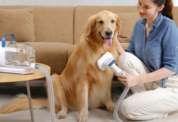 这个出海宠物品牌靠TikTok疯狂吸金，1个月GMV超300万