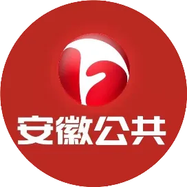 安徽公共频道