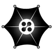 你见过这么美的爱情吗？