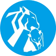 皇岗口岸货运功能将于2025年12月21日起停止服务