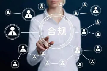跨境电商税务合规策略与风险管理