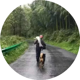 顽主杯实盘大赛