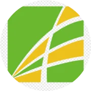 大米召回报告
