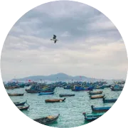 【新西兰啤酒：走在通往牛逼轰轰的路上】