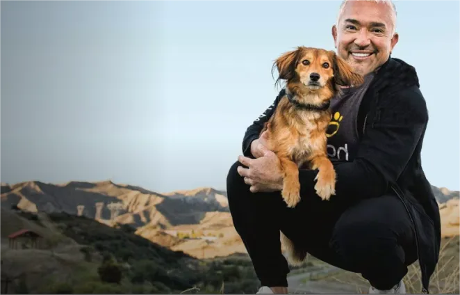 1千美金的狗项圈，竟然年销2万个？