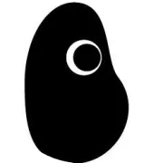 智新专注十五年 三年打造黑豆云