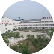 4种食物给你的血管减龄