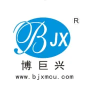 BJX IC 2020年第4季 主推“芯”品