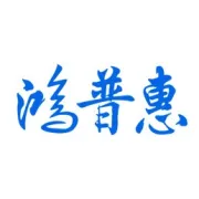 十年磨一剑，普惠向未来——鸿普惠十周年暨2026年会盛典