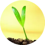 活动预告|"披荆斩棘，领航考博"经验交流会