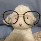 广交会参展攻略来了，附邀请函模板外加广交会成交秘笈