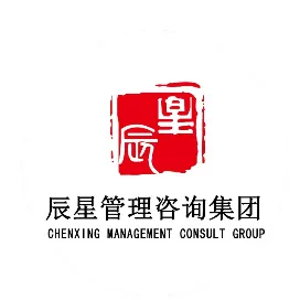 辰星财税咨询集团