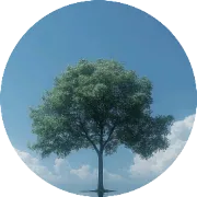 精通运营~ 数据、工具与高级策略