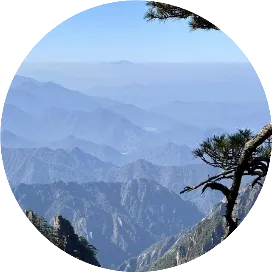 任何实感