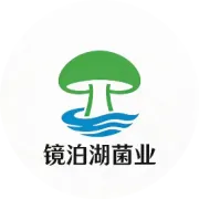 海东文脉滋养地，镜泊仙芝出宁安