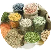 各港口亚麻籽价格简报 260121