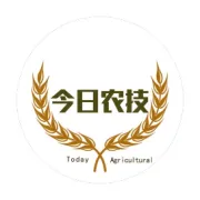 赣南四月橙花开，丹王香飘千万家