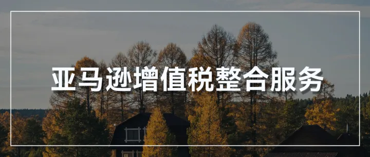 欧洲站卖家注意！亚马逊宣布10月31日停止这项服务！