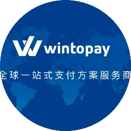 Wintopay独立站收单-术盟