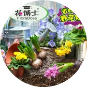 泥炭土不就是泥土吗？错！！