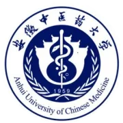 政产学研用协同破局：云诊科技“中医AI+基层医疗”模式荣膺卓越案例奖，打造可复制的“安徽样板”