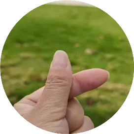 生活工作那些事啊