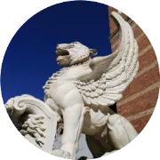 一款有颜有料的伞界“小公举”－W.P.C，日本妹纸几乎人手一把！